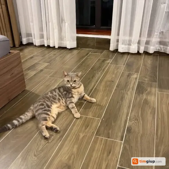 Ảnh 2
