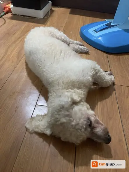 Ảnh 2