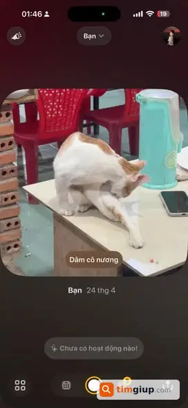 Ảnh 4