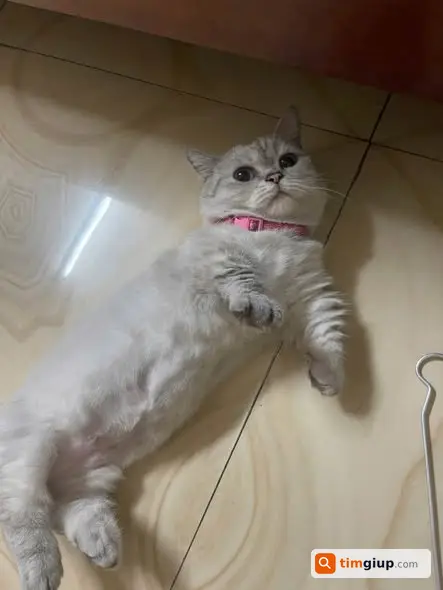 Ảnh 3