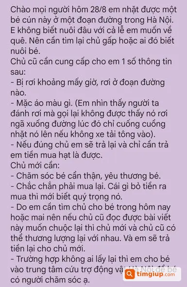 Nhặt Được Bé Cần Tìm Chủ Cũ Hoặc Chủ Mới Gấp