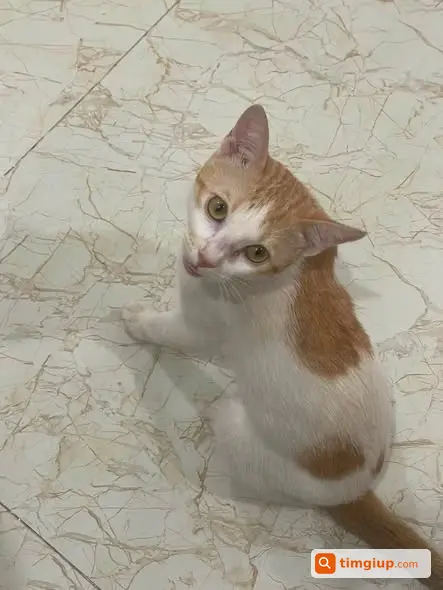 Ảnh 2