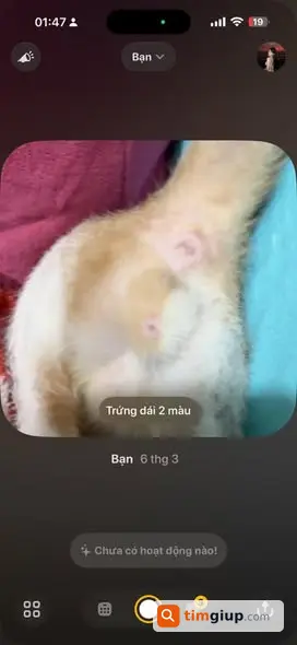 Ảnh 3