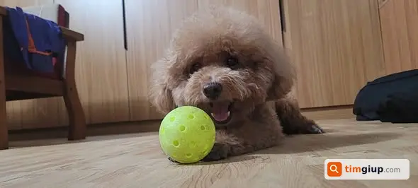 Ảnh 3