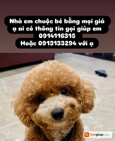 Ảnh 2