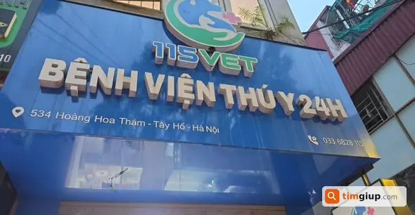 Ảnh 2