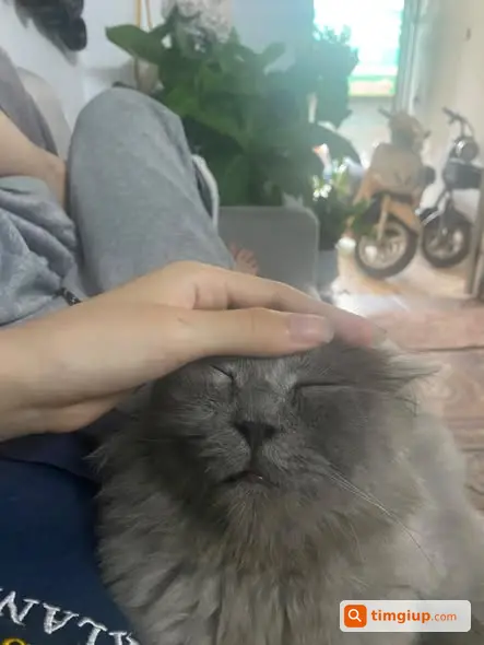 Ảnh 3