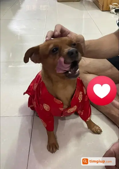 Bé Thất Lạc Tại Kênh Nước Đen Gần Nhà Thờ Bình Thuận