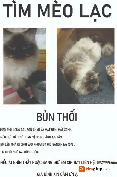 Ảnh 4