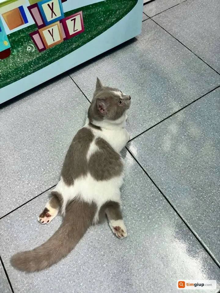 Ảnh 2