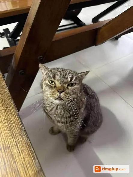 Ảnh 5