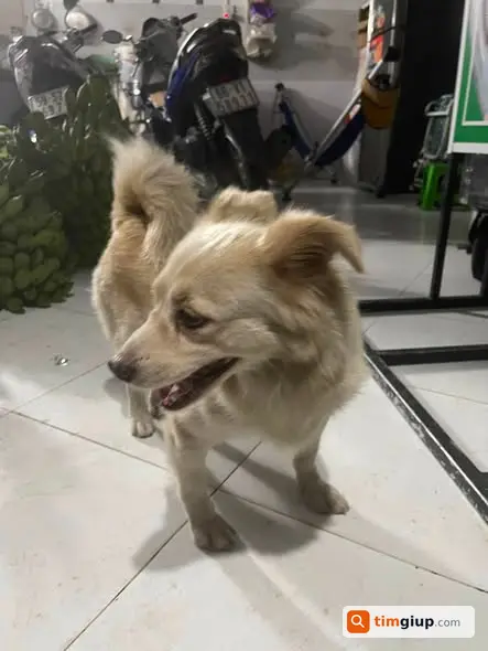 Nhặt Được Đồ Khác, Liên Hệ Nhận Lại Qua Số Điện Thoại