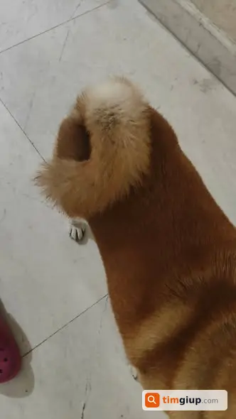 Ảnh 2