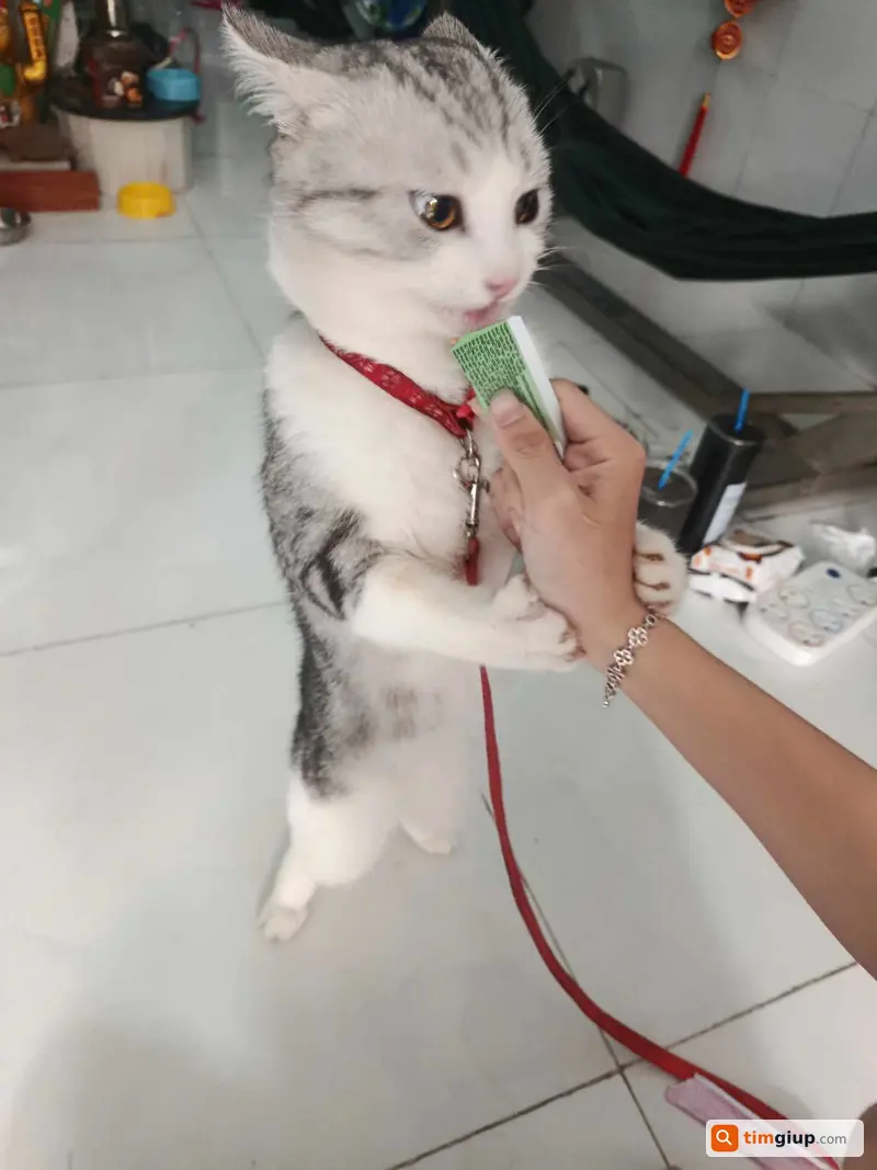 Ảnh 3