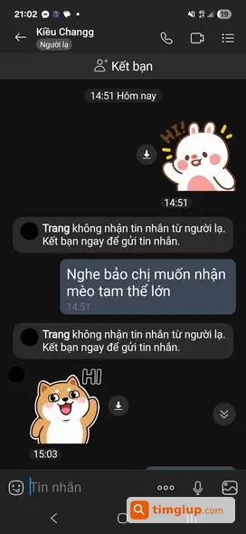 Ảnh 3
