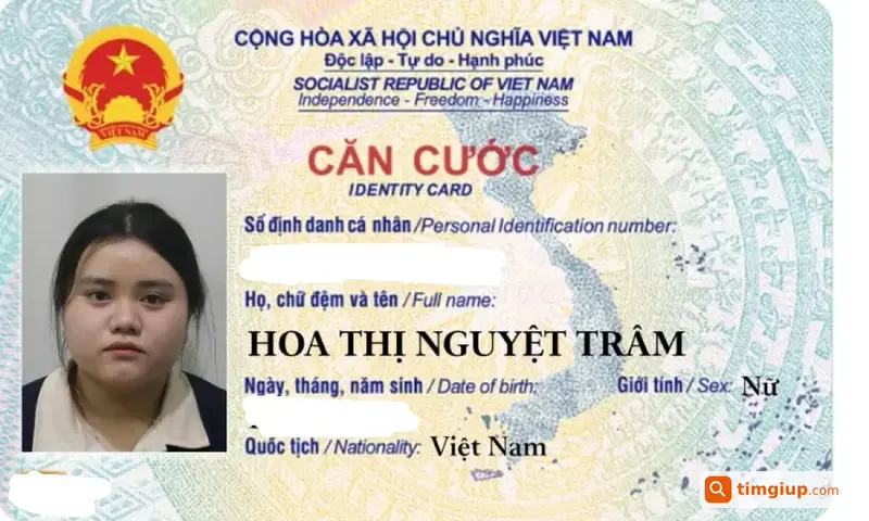 Ví Da Xanh Họa Tiết Hoạt Hình Rơi Từ Lê Văn Sỹ Về Quận 4