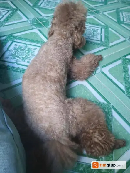 Ảnh 2