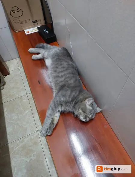 Ảnh 5