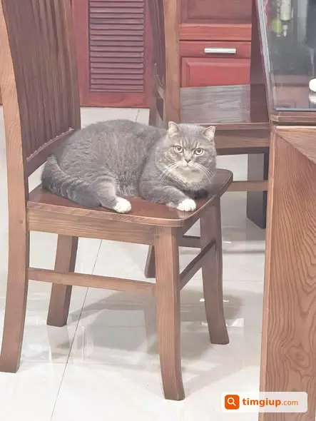 Ảnh 2