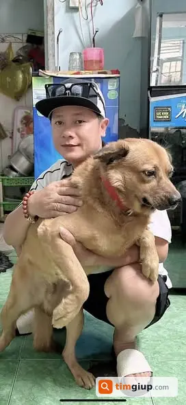 Ảnh 2