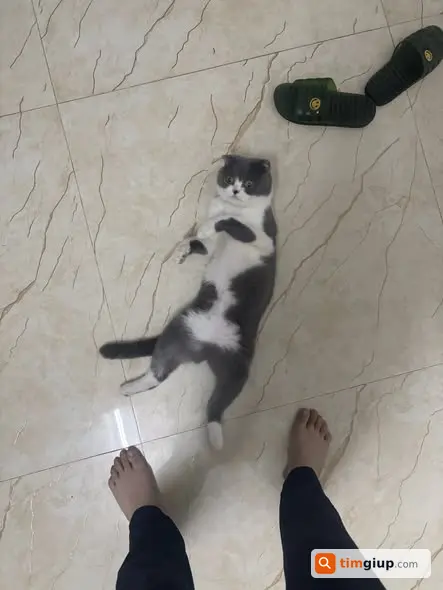 Ảnh 2