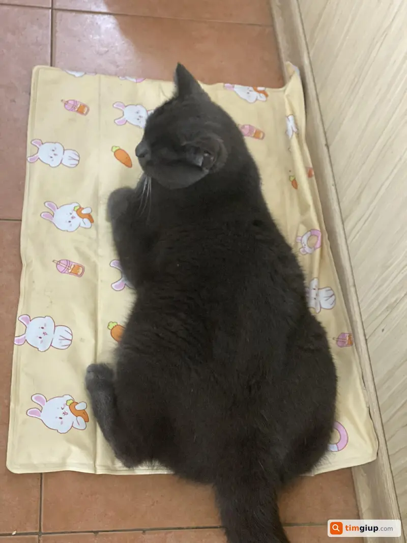 Ảnh 2
