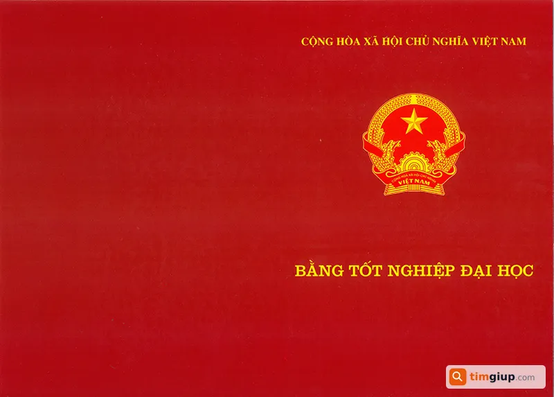 Tìm bằng tốt nghiệp đại học tên Võ Ngọc Hân tại TP.HCM