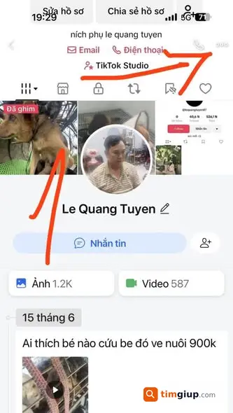 Ảnh 4