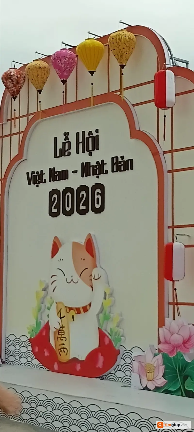 Ảnh 2