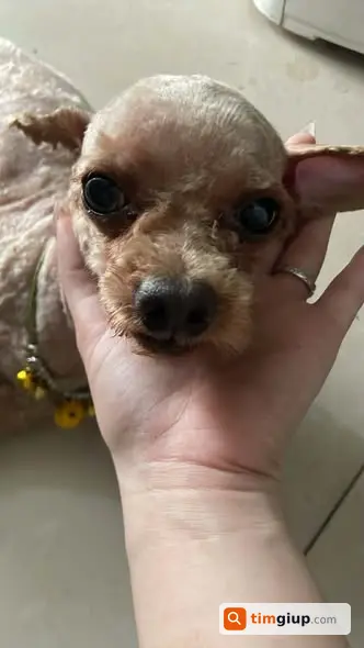 Ảnh 2