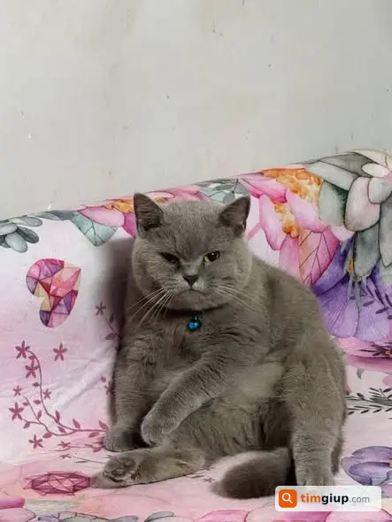Ảnh 3