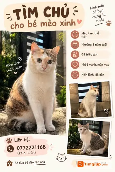 Ảnh 2