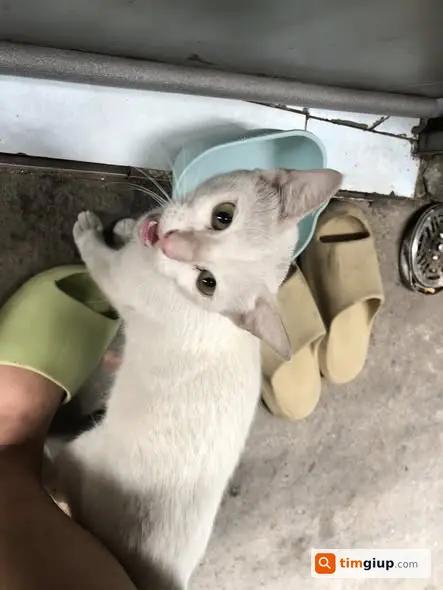 Ảnh 2