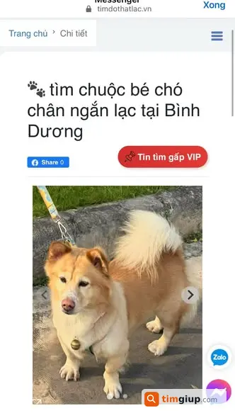 Ảnh 2