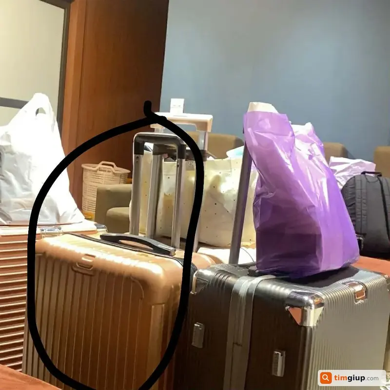 Tìm vali màu hồng thất lạc tại Công viên Hòa Bình, Hà Nội