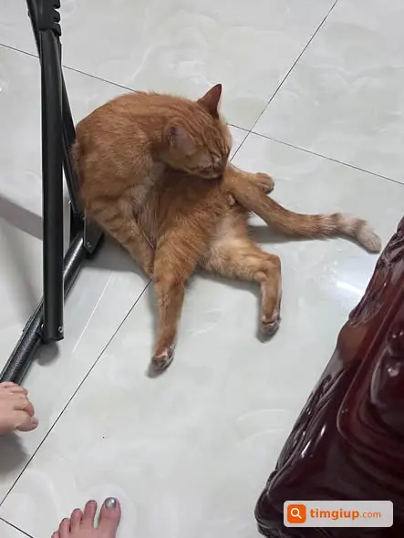Ảnh 2
