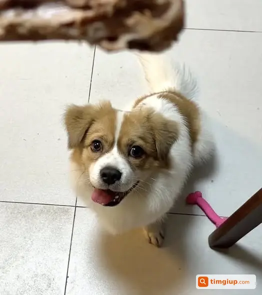 Ảnh 2