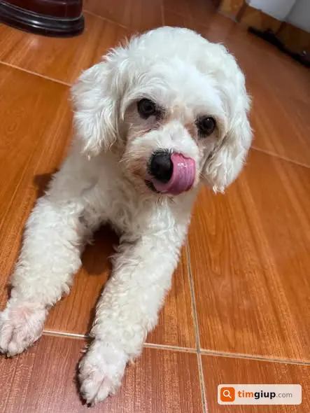 Ảnh 3