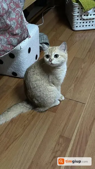 Ảnh 2