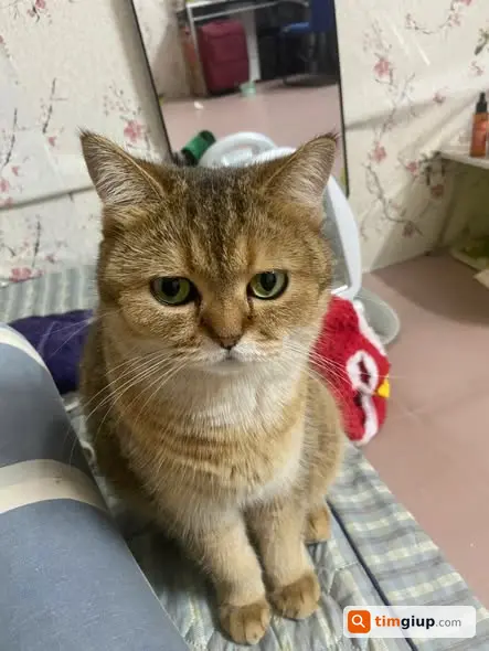 Ảnh 2