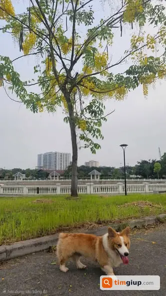 Ảnh 3