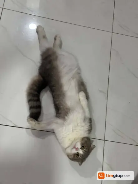 Ảnh 2