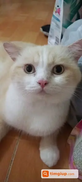 Ảnh 2