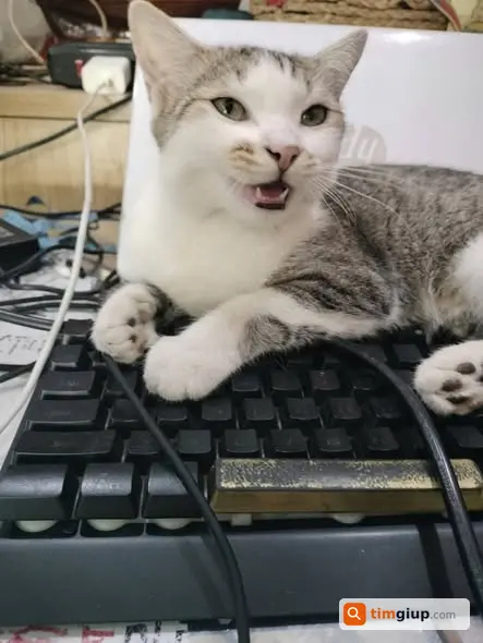 Ảnh 2