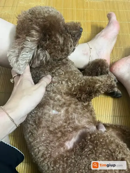 Ảnh 2