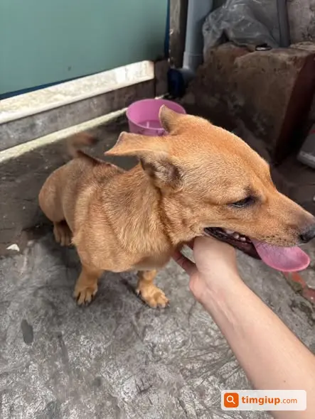 Ảnh 2