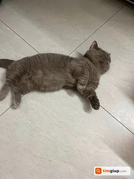 Ảnh 5