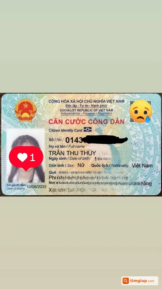 Ví Hồng Nhạt Rơi Từ Thúy Lĩnh Đến Gần Lăng Bác