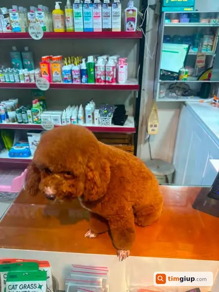 Ảnh 2