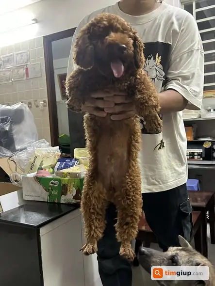 Ảnh 2
